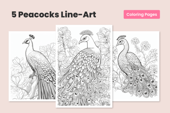 Download Peacock Bundle Coloring Pages for Adults - Bundle coloring pages Collection